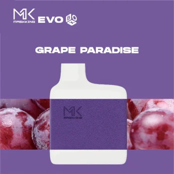Maskking Evo Box 5000 Grape Paradise