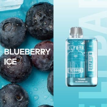 ELFBAR TE5000 Blueberry Ice