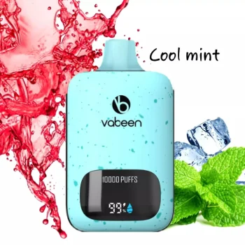 Vabeen 10000 Cool Mint
