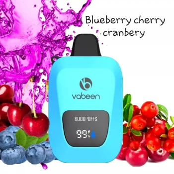 Vabeen 6000 Blueberry Cherry Cranberry