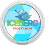 iceberg-frosty-mint