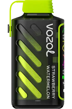 Vozol Gear 20 000 Strawberry Watermelon