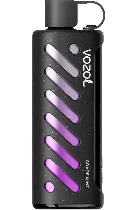 Vozol Gear 25 000 Mango Freeze
