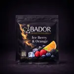 8798e1fb-e560-4e29-bf76-70cf969ac177