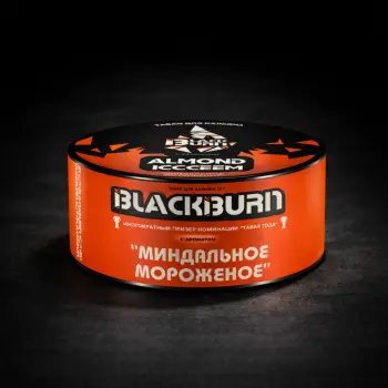 Black Burn Миндальное Мороженое 25гр